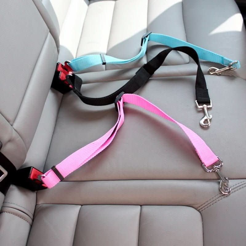 Skanto | SAFEPAW – Cinturón de seguridad ajustable para perros en el coche