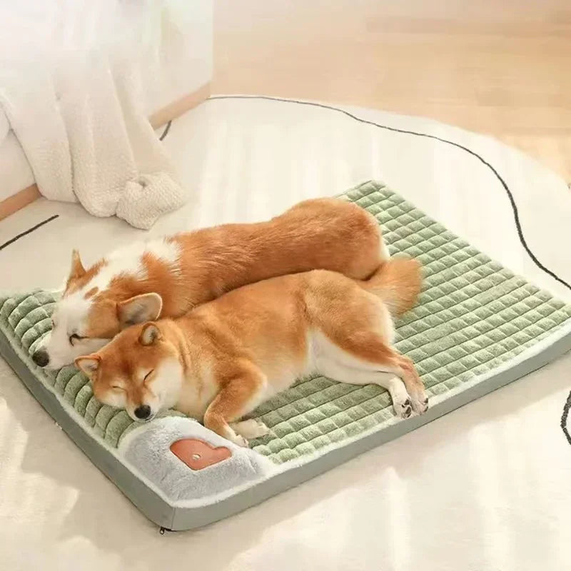 PAWSOMNIA Cama Ortopédica para Perros | Funda Desmontable y Lavable | Espuma Viscoelástica | Para Perros y Gatos