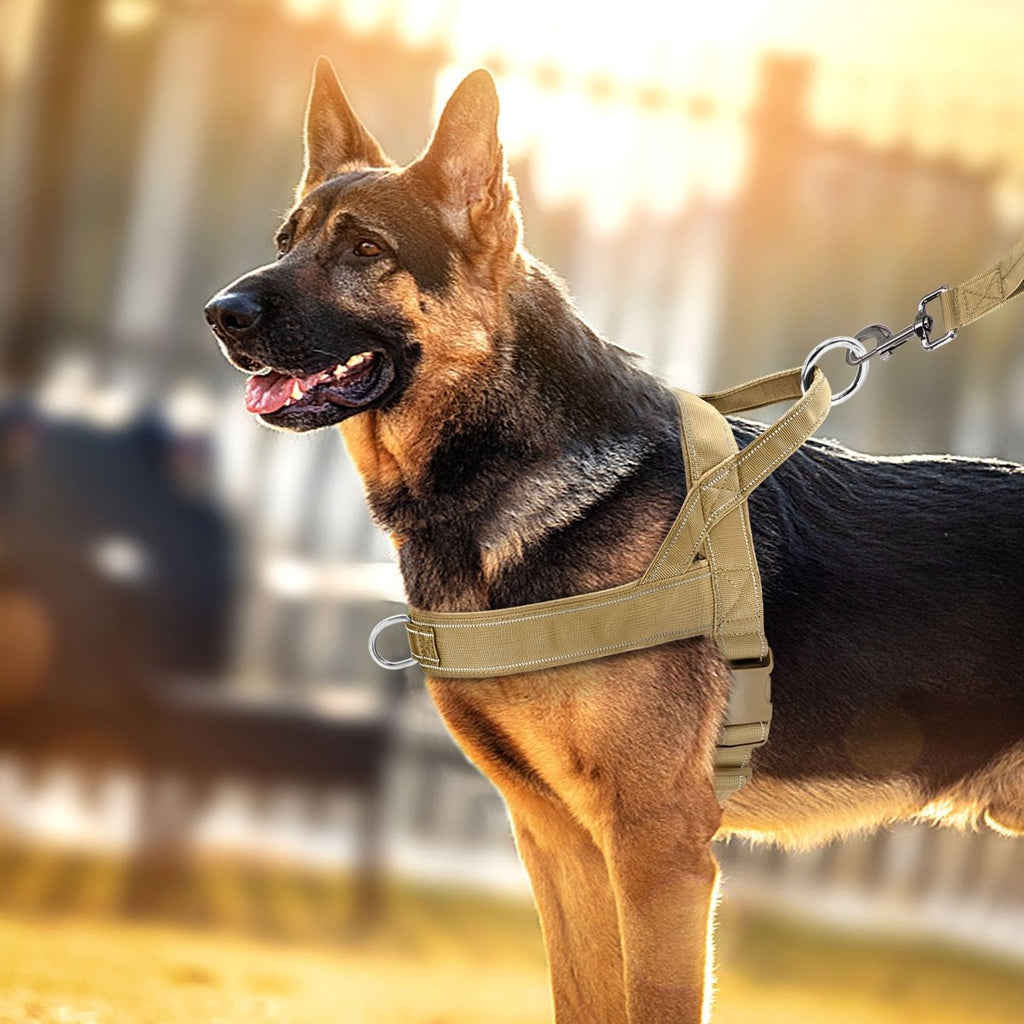 Skanto | Arnés reflectante ajustable para perros con asa para todas las razas de perros