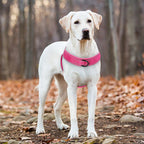 Skanto | Arnés reflectante ajustable para perros con asa para todas las razas de perros