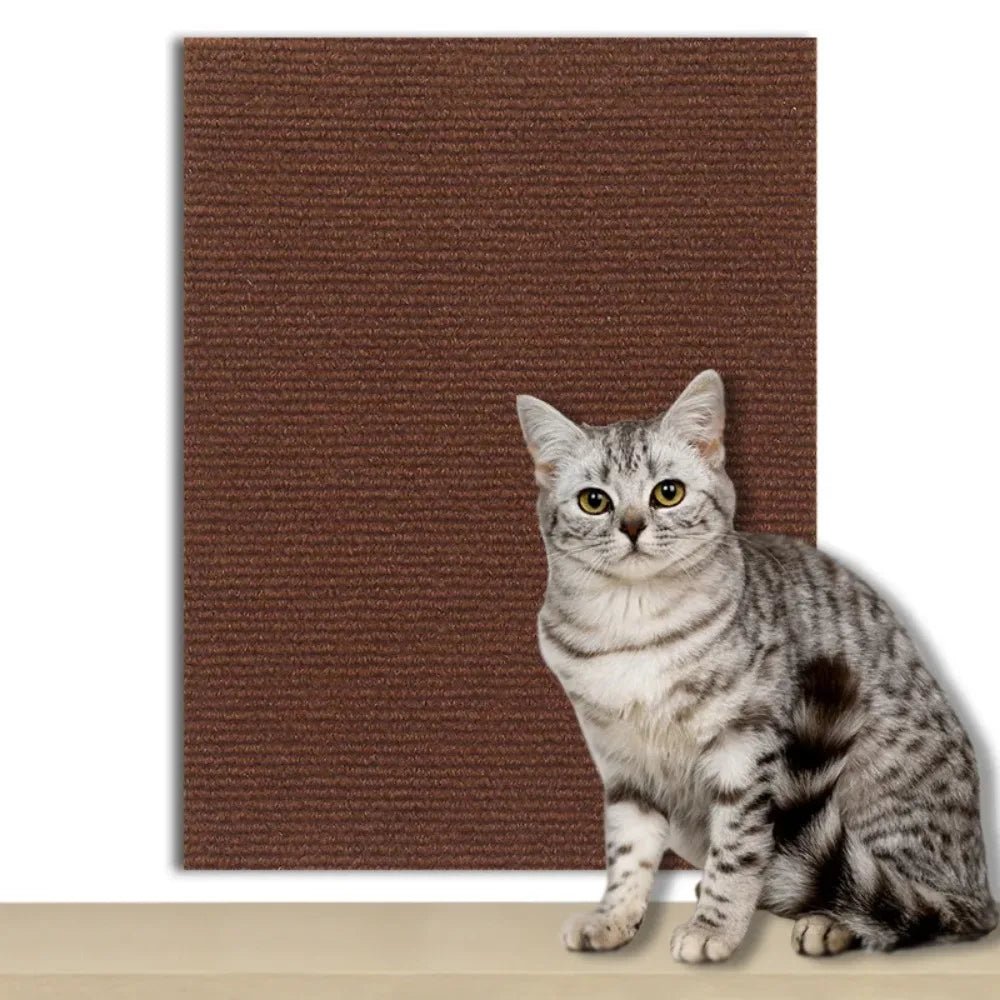 CATSTICKSHIELD – Placa de protección autoadhesiva para gatos para proteger muebles, paredes y alfombras