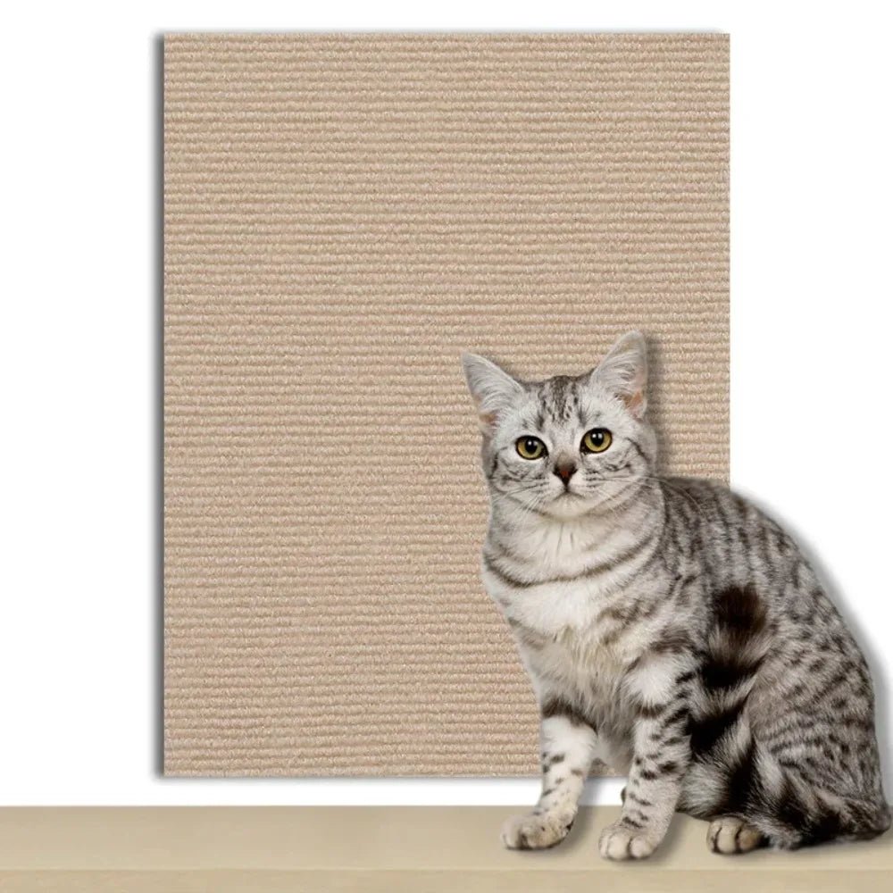 CATSTICKSHIELD – Placa de protección autoadhesiva para gatos para proteger muebles, paredes y alfombras