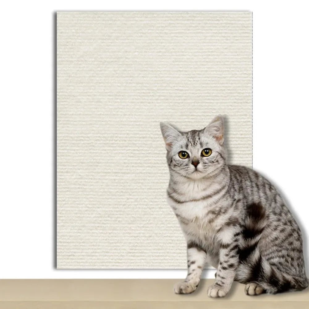 CATSTICKSHIELD – Placa de protección autoadhesiva para gatos para proteger muebles, paredes y alfombras
