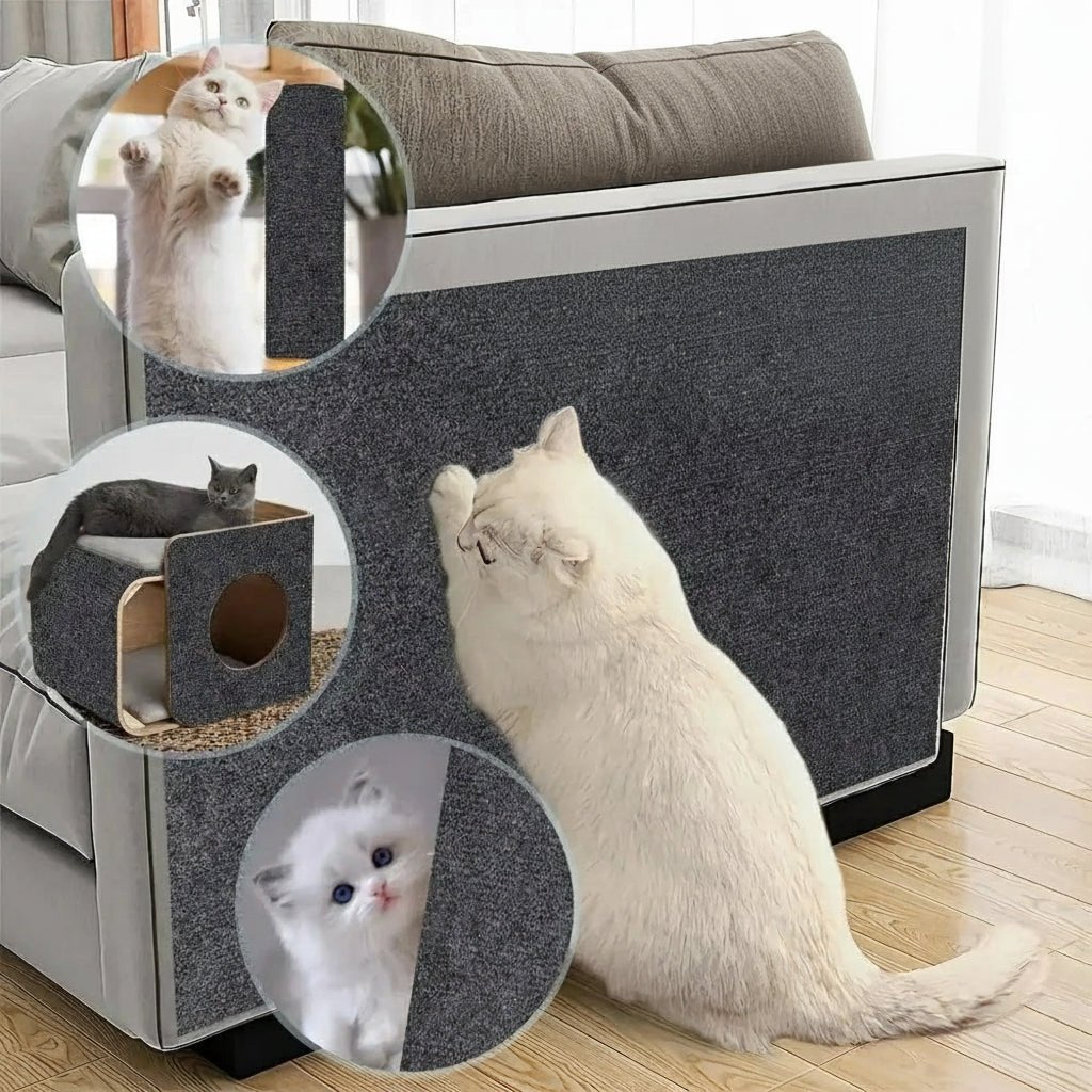 CATSTICKSHIELD – Placa de protección autoadhesiva para gatos para proteger muebles, paredes y alfombras