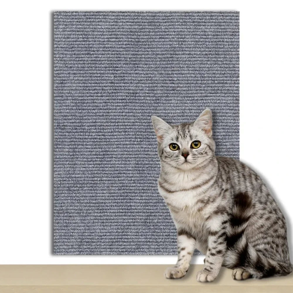 CATSTICKSHIELD – Placa de protección autoadhesiva para gatos para proteger muebles, paredes y alfombras