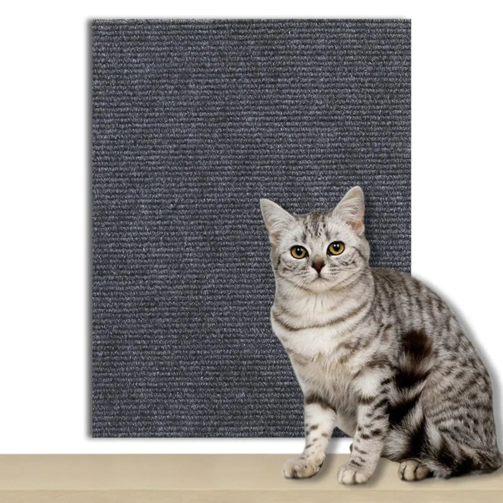 CATSTICKSHIELD – Placa de protección autoadhesiva para gatos para proteger muebles, paredes y alfombras