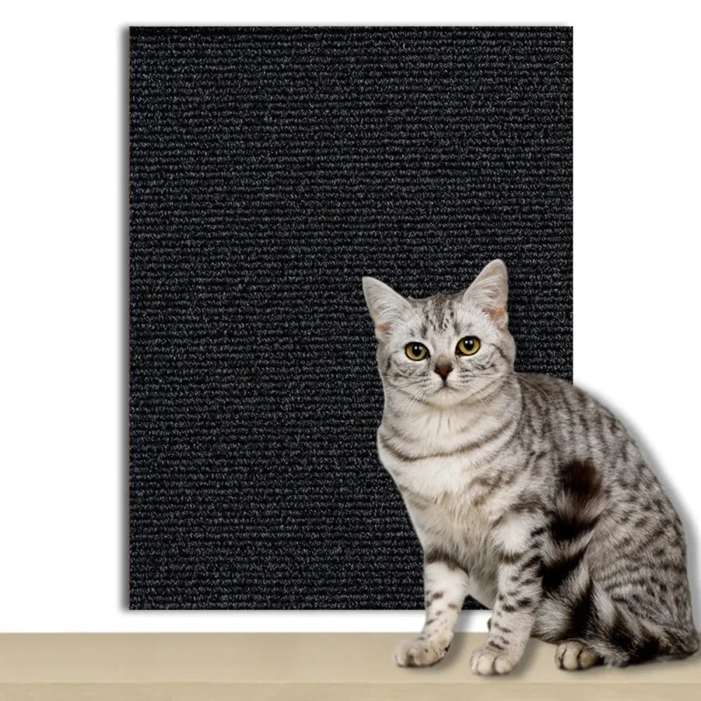 CATSTICKSHIELD – Placa de protección autoadhesiva para gatos para proteger muebles, paredes y alfombras