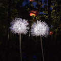 Luz de Globo LED Solar de Alambre de Aluminio Diente de León Impermeable para Jardín | Brehn