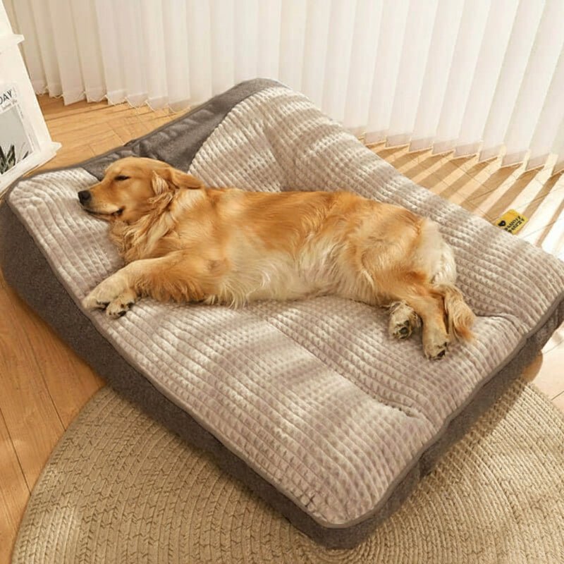 HUGBED – Cama para perros grande resistente a rasguños con soporte ortopédico para la columna vertebral