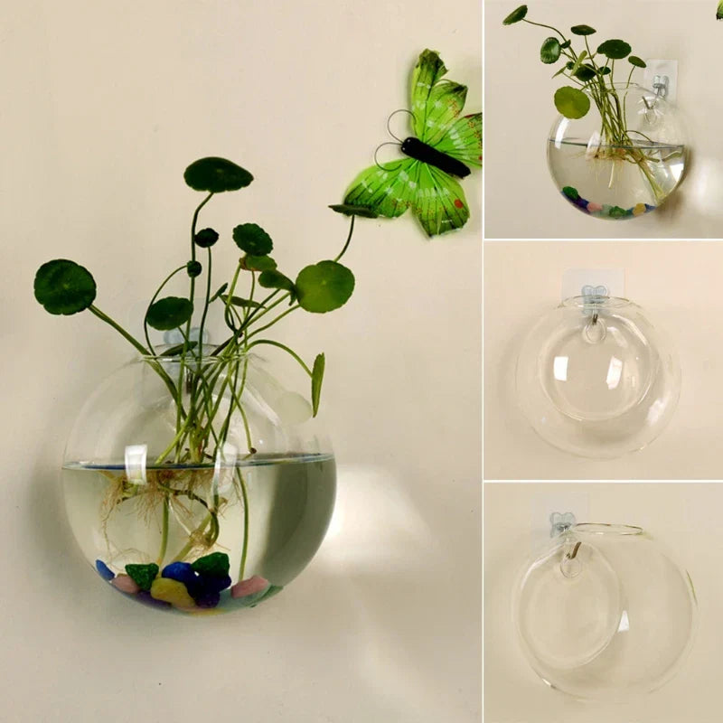 AirBloom Hydro Vase - Jarrón Hidrológico Colgante de Vidrio