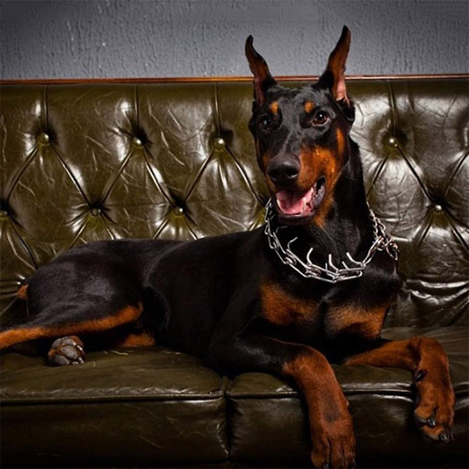 Collar de Pincher para Perros - Estilo B