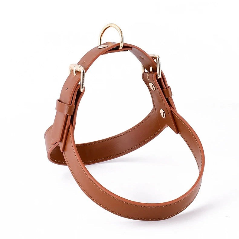 HONDENHUG - Arnés de Cuero Impermeable para Perros | Comodidad y Estilo para Cada Perro