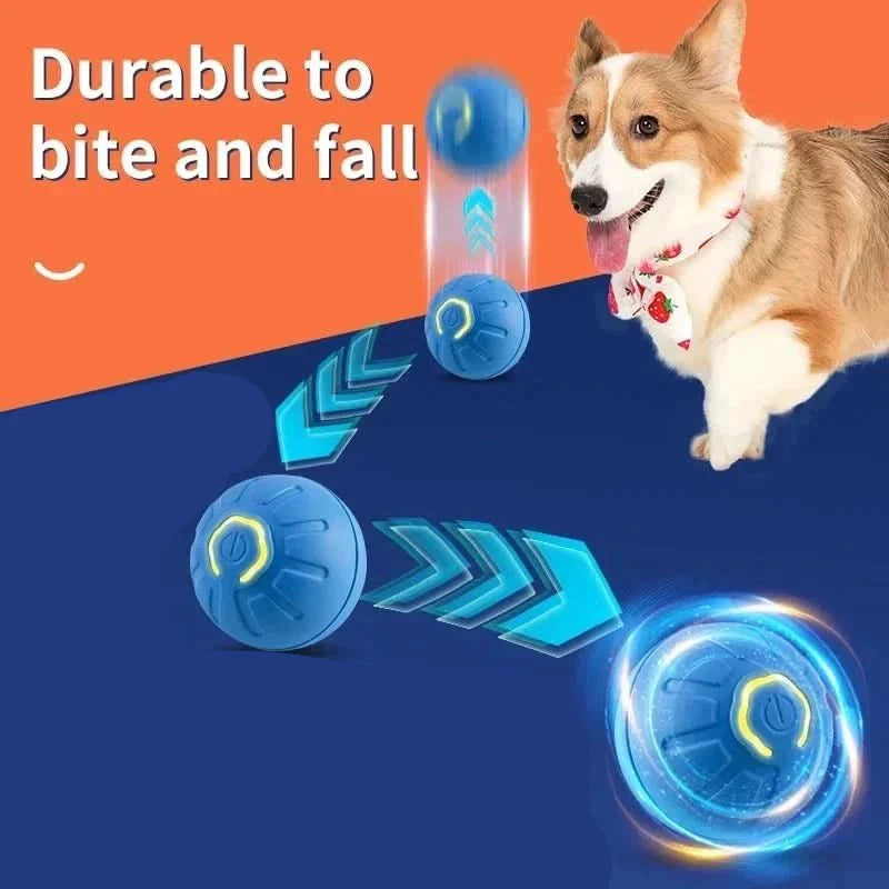 PLAYPET Pelota Interactiva para Perros – Pelota Rebotadora Recargable