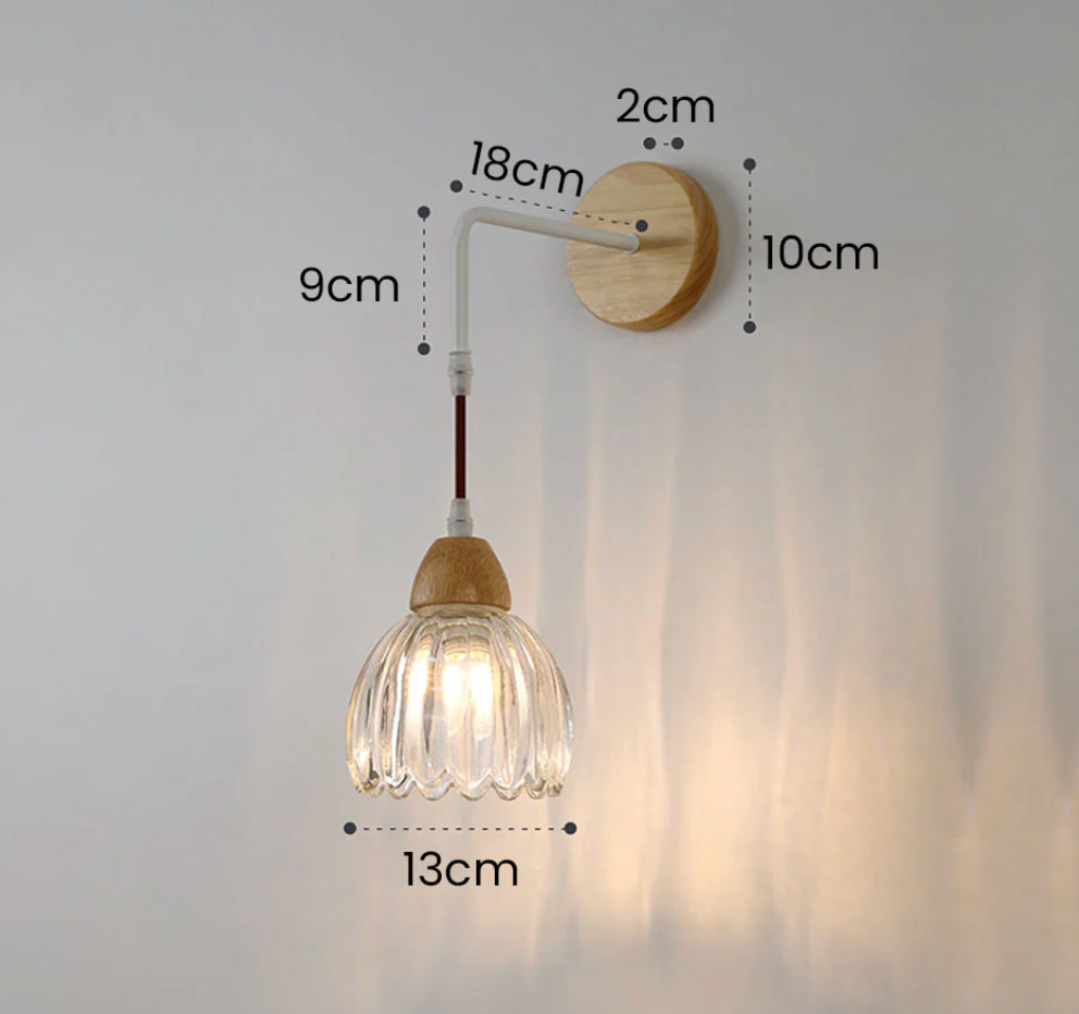 Moderna Luz de Techo y Pared de Vidrio para Comedor o Pasillo