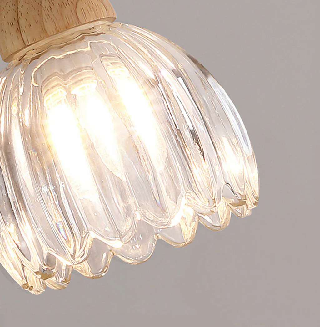 Moderna Luz de Techo y Pared de Vidrio para Comedor o Pasillo