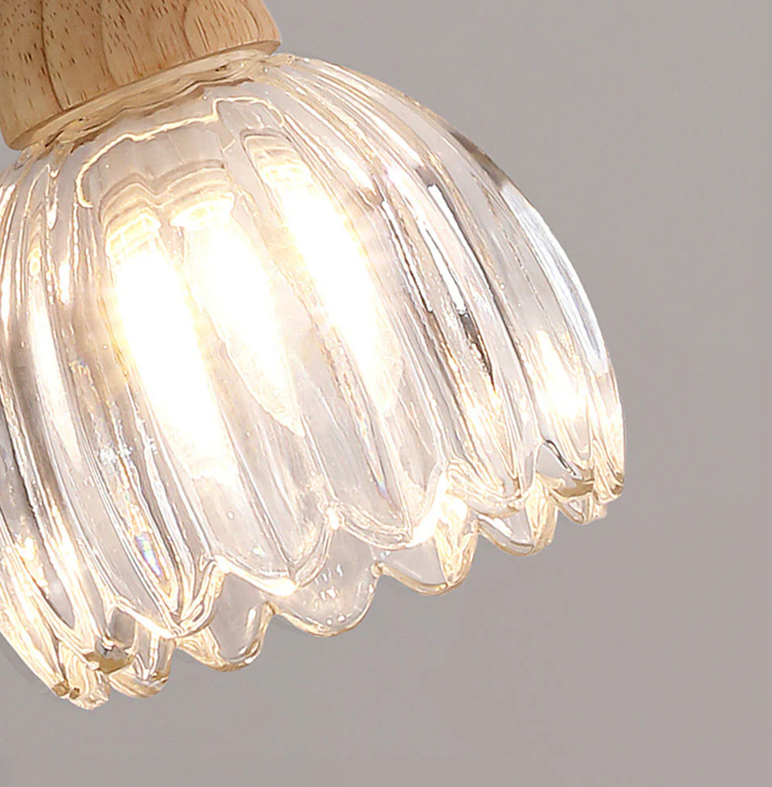 Moderna Luz de Techo y Pared de Vidrio para Comedor o Pasillo