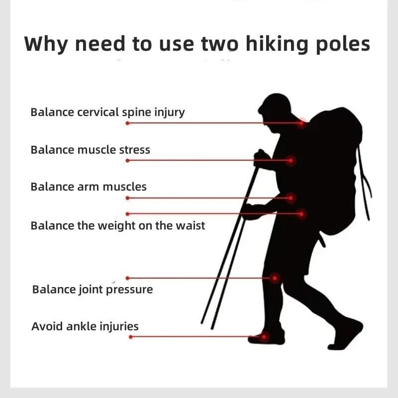 Bastones de trekking plegables para senderismo y aventuras al aire libre
