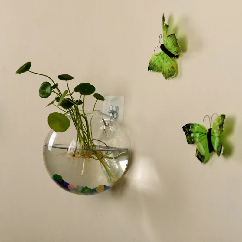 AirBloom Hydro Vase - Jarrón Hidrológico Colgante de Vidrio