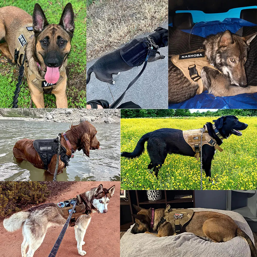 K9 Arnés – Arnés Táctico para Perros