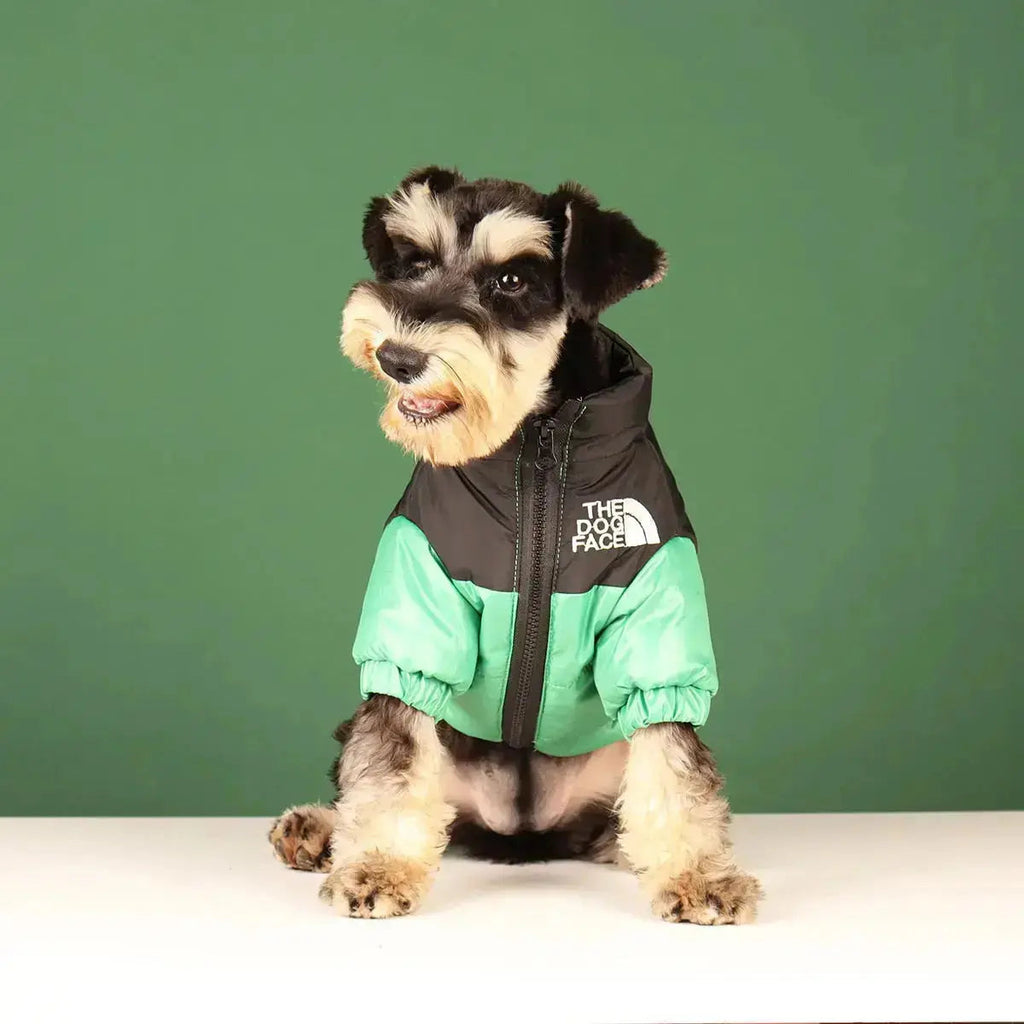 Chaqueta de Invierno para Perros | Acolchada y Resistente al Viento