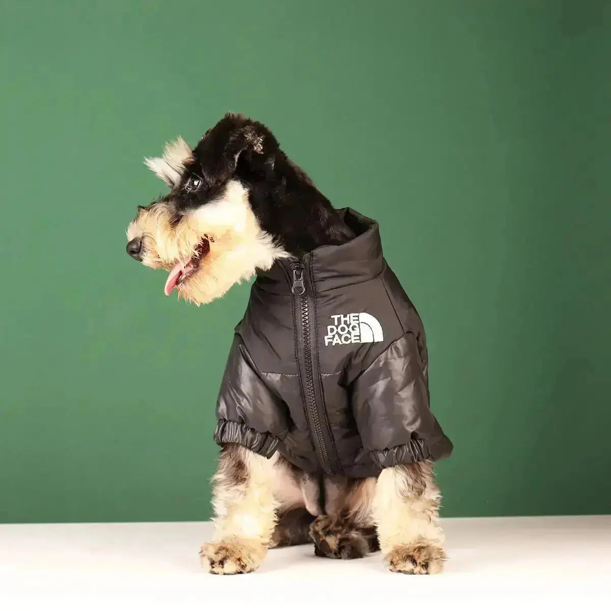 Chaqueta de Invierno para Perros | Acolchada y Resistente al Viento