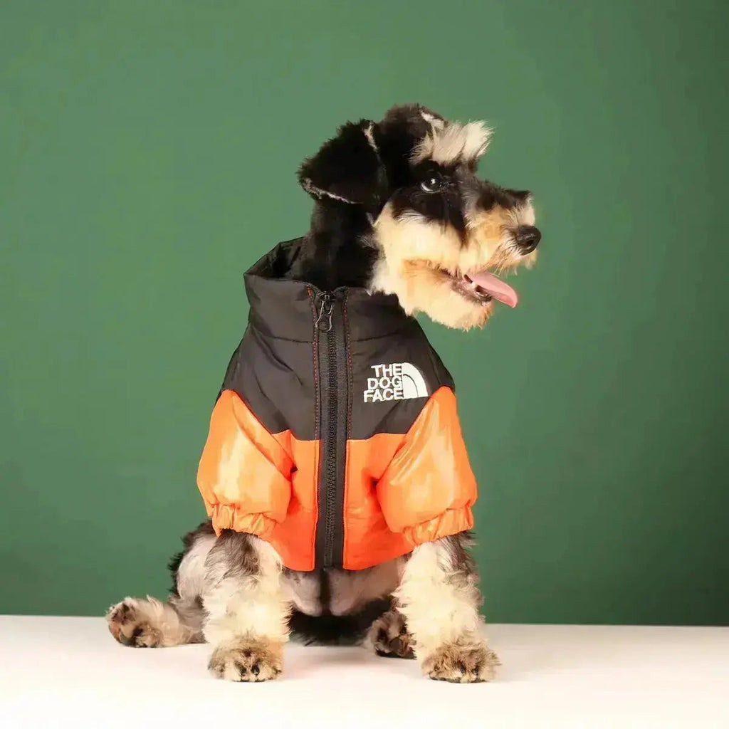 Chaqueta de Invierno para Perros | Acolchada y Resistente al Viento