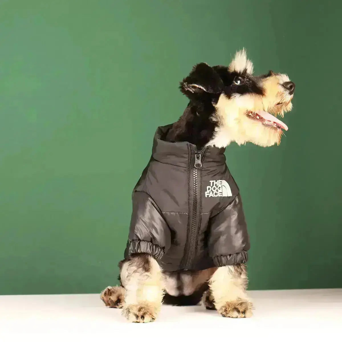 Chaqueta de Invierno para Perros | Acolchada y Resistente al Viento