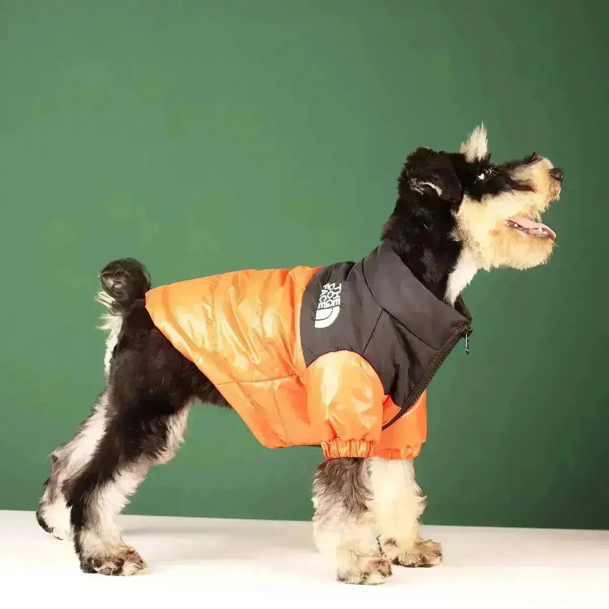 Chaqueta de Invierno para Perros | Acolchada y Resistente al Viento