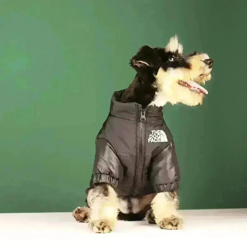 Chaqueta de Invierno para Perros | Acolchada y Resistente al Viento