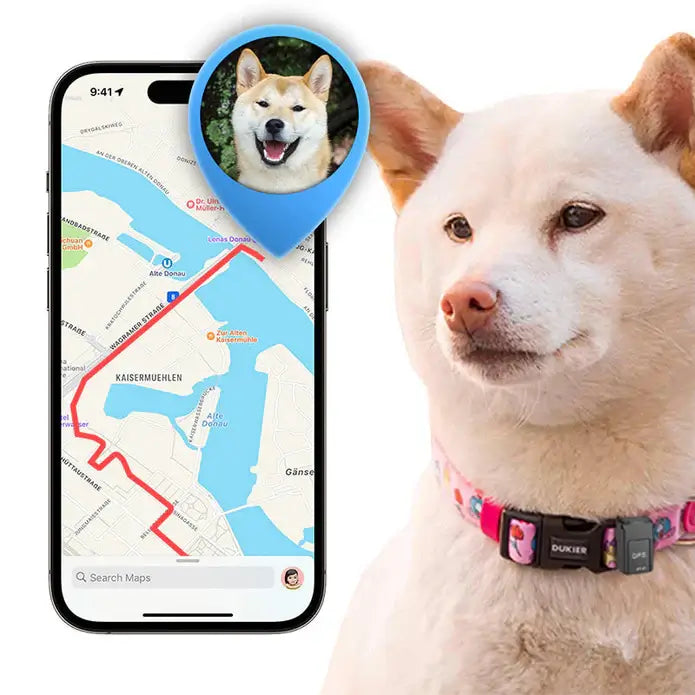 GPS-Localización para máxima seguridad