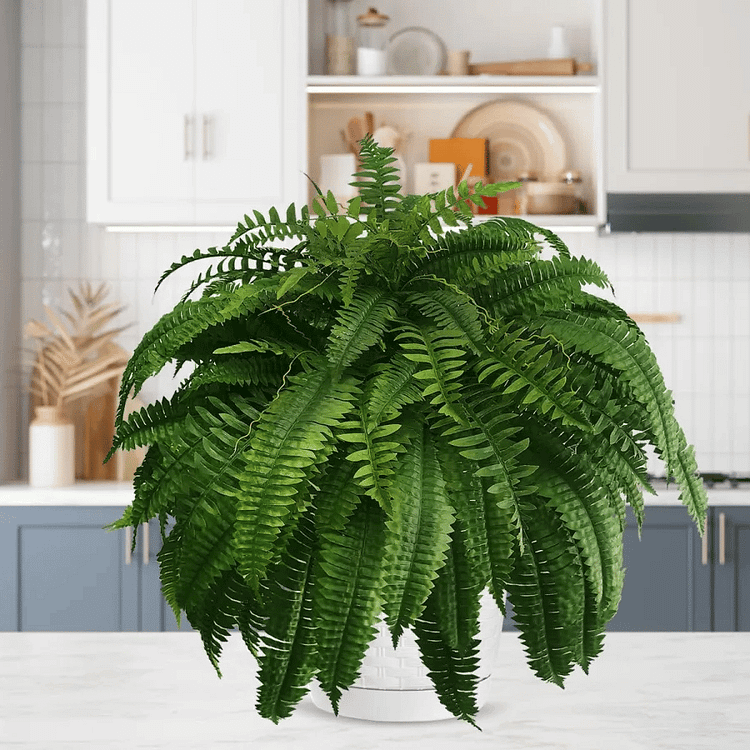 Helecho Boston EverGreen – Planta Artificial con Protección UV y Diseño Resistente a la Intemperie