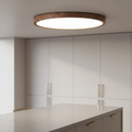 Luz de Techo Montada Ethos - Diseño Japandi Ultra Delgado, Brillo LED Suave