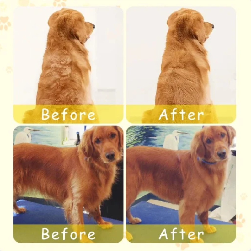Cepillo de vapor multifuncional para el cuidado perfecto de tu mascota