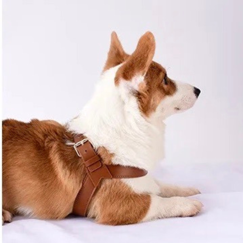 HONDENHUG - Arnés de Cuero Impermeable para Perros | Comodidad y Estilo para Cada Perro