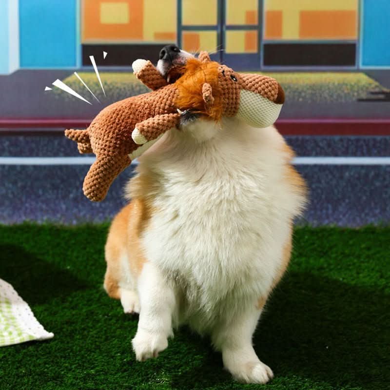 HARDPAW TOY – Jouet à mâcher résistant pour petits et grands chiens