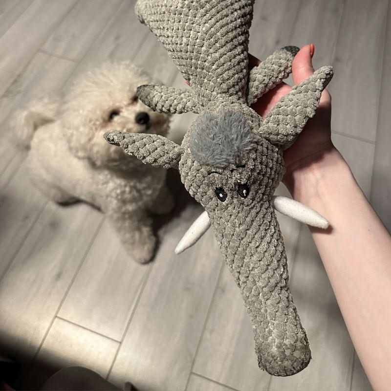 HARDPAW TOY – Jouet à mâcher résistant pour petits et grands chiens