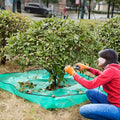 Gran Lona de Jardín con Abertura para Árbol – Impermeable, Reutilizable y Perfecta para Trabajo de Poda