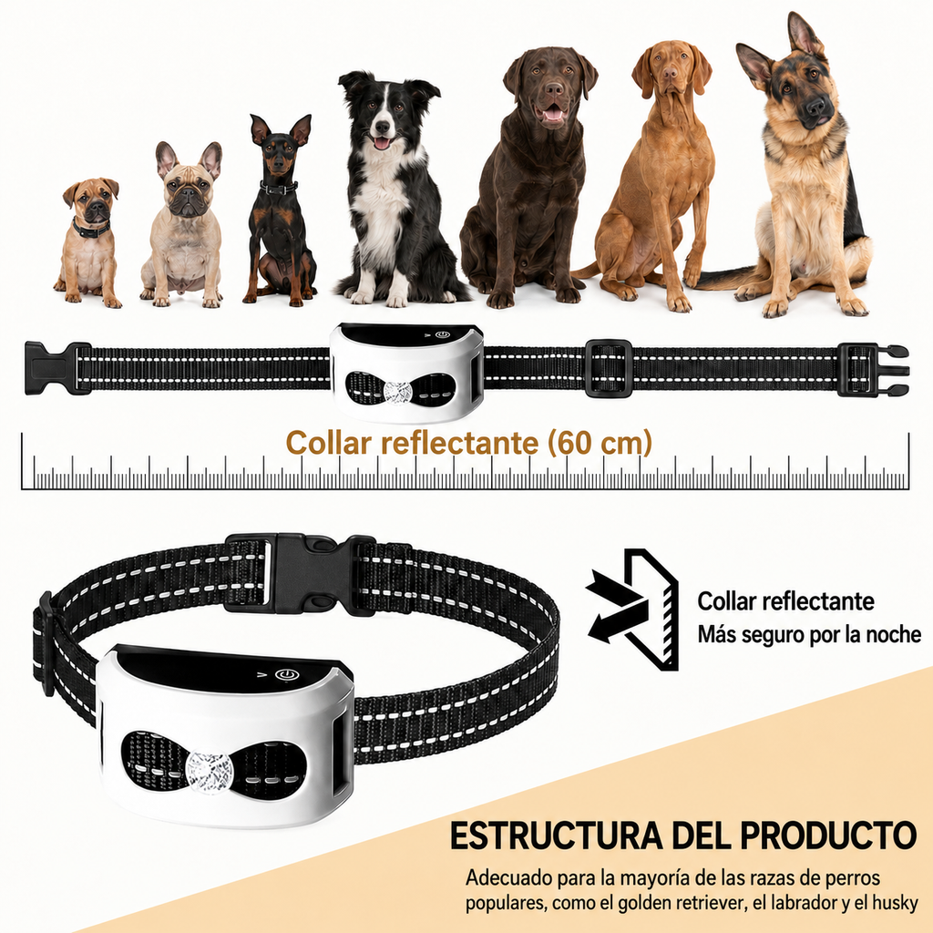 Collar de Entrenamiento y Cerca Inalámbrica 2-en-1 - Impermeable y Recargable