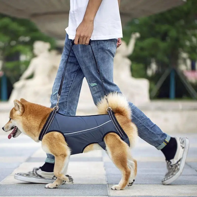 Arnés Elevador Ajustable para Perros Heridos y Mayores