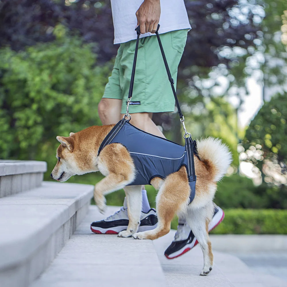 Arnés Elevador Ajustable para Perros Heridos y Mayores
