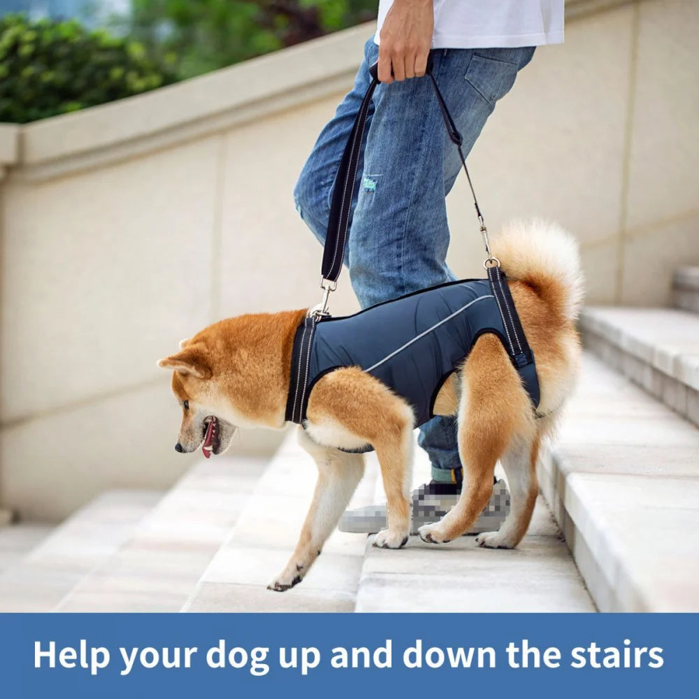 Arnés Elevador Ajustable para Perros Heridos y Mayores