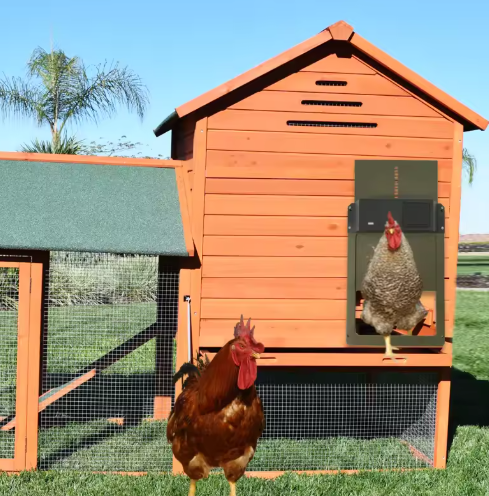 Sistema Automático de Puerta para Gallinero con Opciones de Solar/Batería