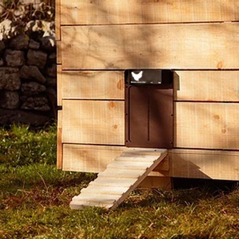 Puerta Automática para Gallinero – Seguridad y Facilidad para Aves de Corral