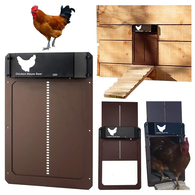 Puerta Automática para Gallinero – Seguridad y Facilidad para Aves de Corral