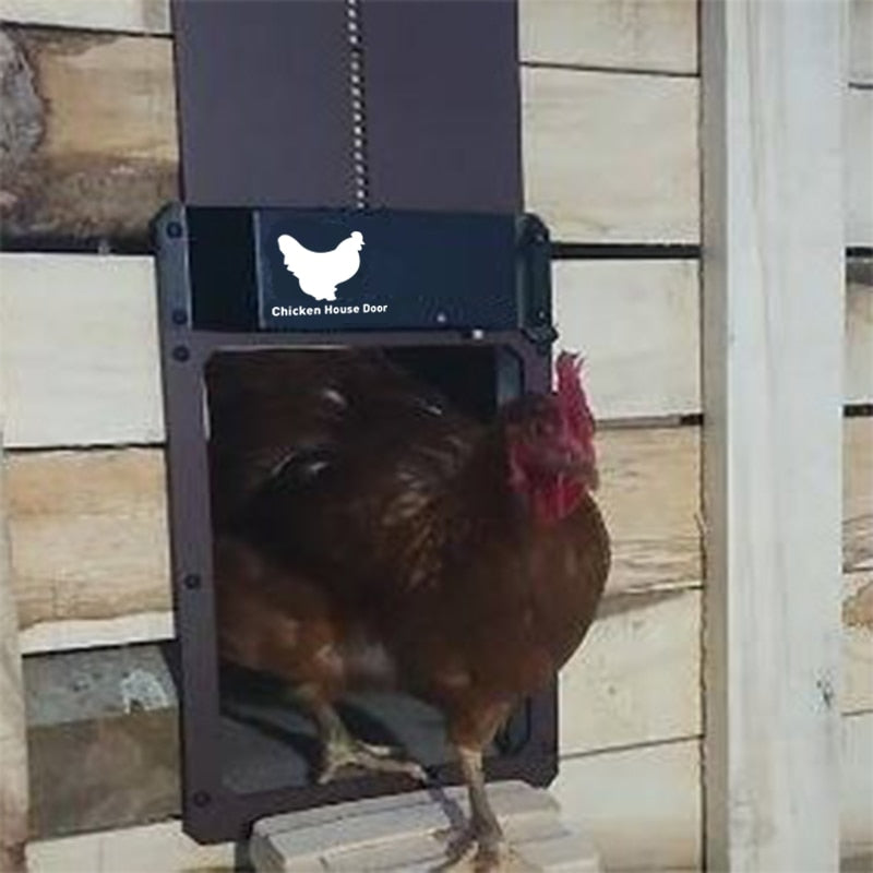 Puerta Automática para Gallinero – Seguridad y Facilidad para Aves de Corral