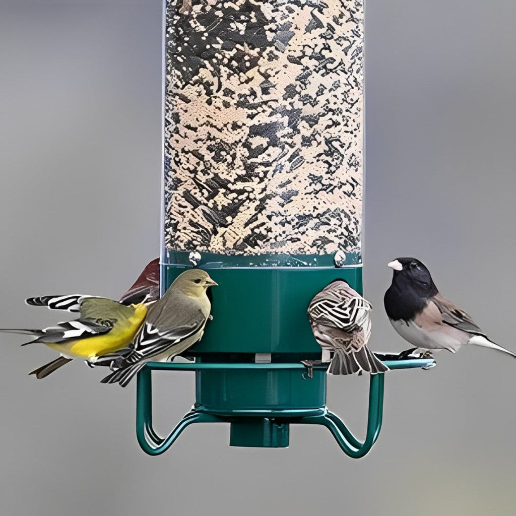 Comedero para Aves a Prueba de Ardillas