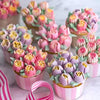 TortenMeister - ¡Hornea pasteles hermosos y profesionales! | 50% DESCUENTO