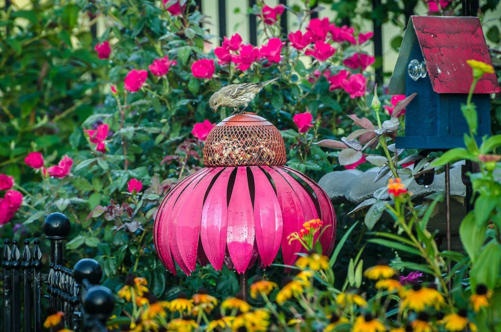 Alimentador de Aves Coneflower