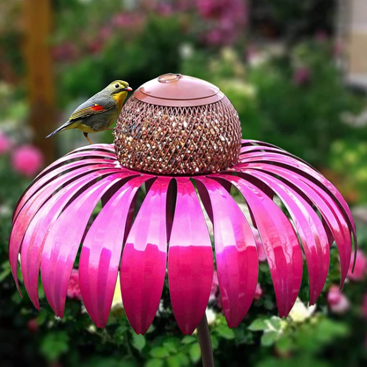 Alimentador de Aves Coneflower