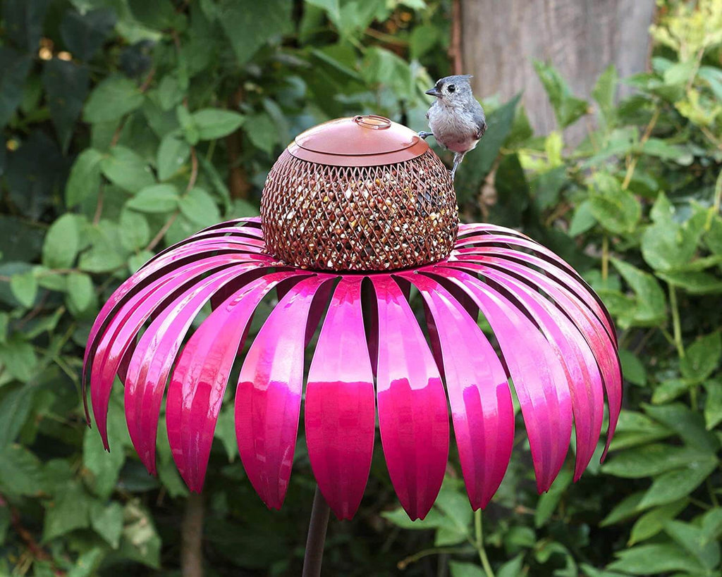 Alimentador de Aves Coneflower
